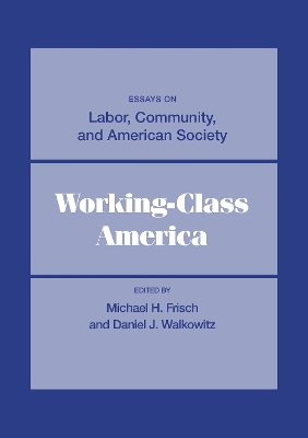 Working-Class America: Essays on Labor, Community, and American Society