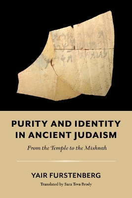 Purity and Identity in Ancient Judaism: From the Temple to the Mishnah