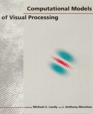 Computational Models of Visual Processing