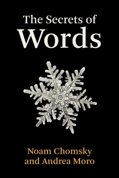 Secrets of Words