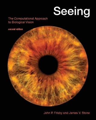 Seeing: The Computational Approach to Biological Vision second edition