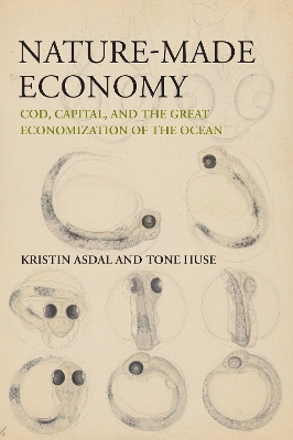 Nature-Made Economy: Cod, Capital, and the Great Economization of the Ocean