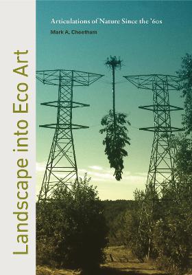 Landscape into Eco Art: Articulations of Nature Since the 60s