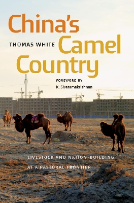 China's Camel Country: Livestock and Nation-Building at a Pastoral Frontier