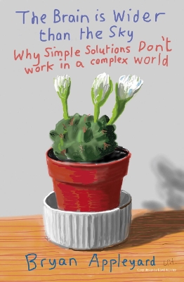 Brain is Wider Than the Sky: Why Simple Solutions Don't Work in a Complex World