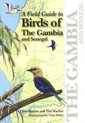 Fg Birds of Gambia