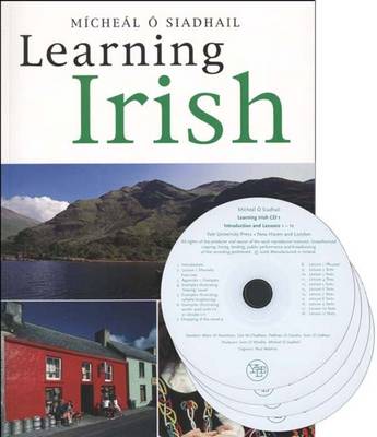 Learning Irish: An Introductory Self-Tutor, Text