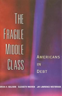 Fragile Middle Class: Americans in Debt