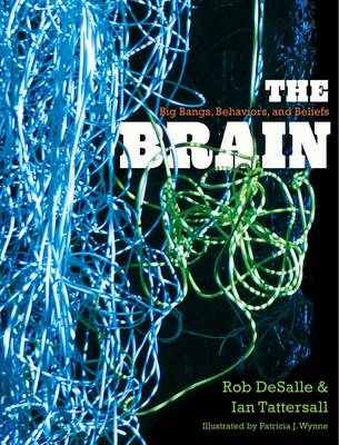 Brain: Big Bangs, Behaviors, and Beliefs
