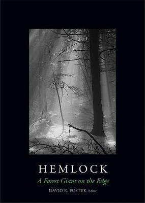 Hemlock: A Forest Giant on the Edge