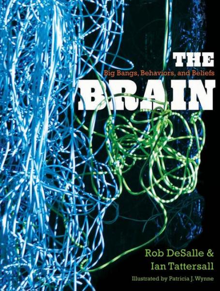 Brain: Big Bangs, Behaviors, and Beliefs