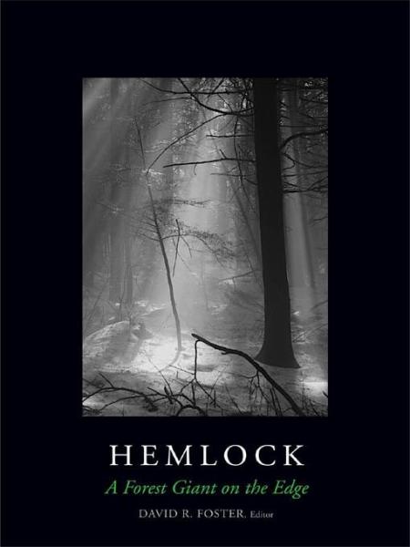 Hemlock: A Forest Giant on the Edge