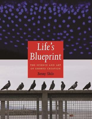 Life's Blueprint: The Science and Art of Embryo Creation