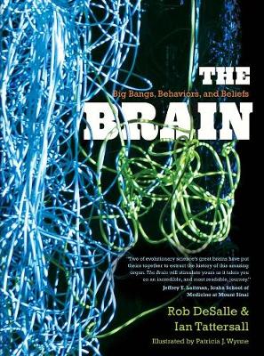 Brain: Big Bangs, Behaviors, and Beliefs