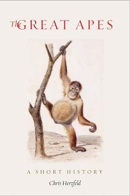 Great Apes: A Short History