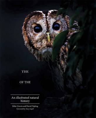 Enigma of the Owl: An Illustrated Natural History