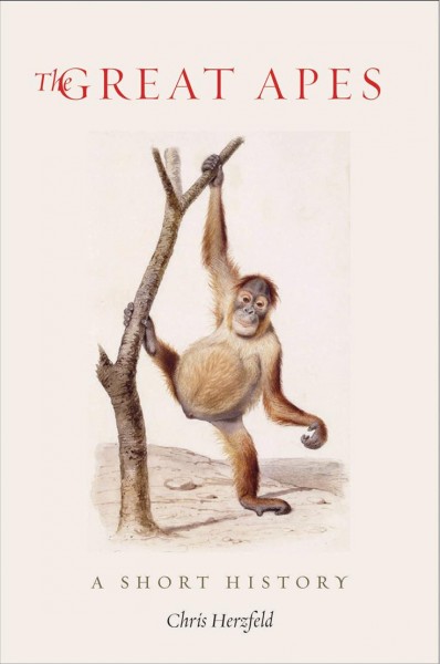 Great Apes: A Short History