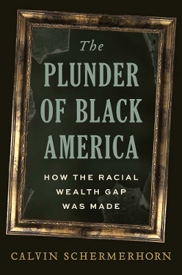Plunder of Black America: How the Racial Wealth Gap Was Made