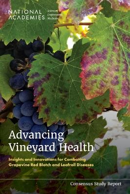Advancing Vineyard Health: Insights and Innovations for Combating Grapevine Red Blotch and Leafroll  Diseases