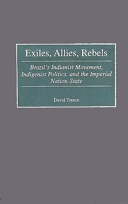 Exiles, Allies, Rebels: Brazil's Indianist Movement, Indigenist Politics, and the Imperial Nation-State