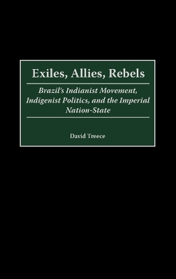 Exiles, Allies, Rebels: Brazil's Indianist Movement, Indigenist Politics, and the Imperial  Nation-State
