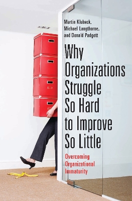 Why Organizations Struggle So Hard to Improve So Little: Overcoming Organizational Immaturity