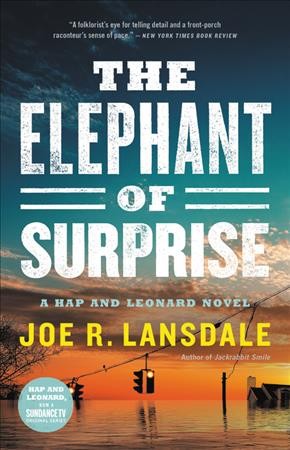 Elephant of Surprise