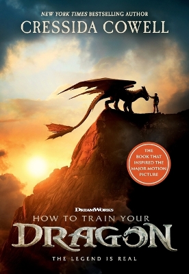How to Train Your Dragon Media tie-in