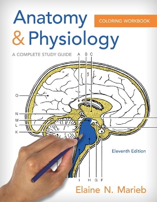 Anatomy & Physiology Coloring Workbook: A Complete Study Guide 11th edition