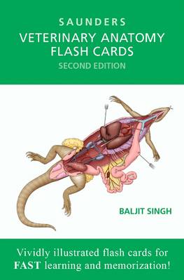 Veterinary Anatomy Flash Cards: Veterinary Anatomy Flash Cards