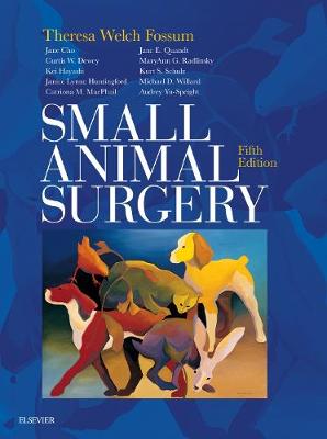 Small Animal Surgery E-Book: Small Animal Surgery E-Book