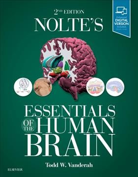 Nolte's Essentials of the Human Brain 2nd edition