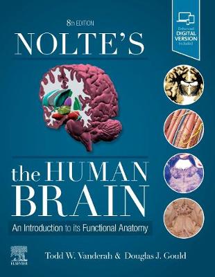 Nolte's The Human Brain: An Introduction to its Functional Anatomy 8th edition