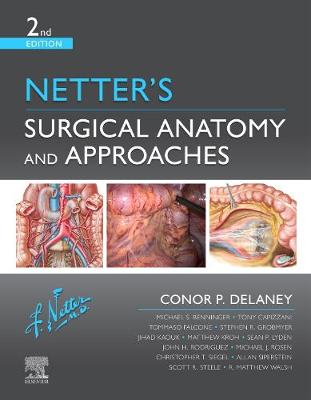 Netter's Surgical Anatomy and Approaches E-Book: Netter's Surgical Anatomy and Approaches E-Book