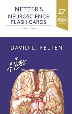 Netter's Neuroscience Flash Cards 4th edition