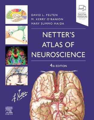 Netter's Atlas of Neuroscience 4th edition