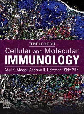 Cellular and Molecular Immunology E-Book: Cellular and Molecular Immunology E-Book