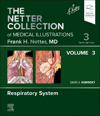 Netter Collection of Medical Illustrations: Respiratory System, Volume 3 3rd edition