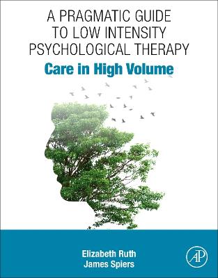 Pragmatic Guide to Low Intensity Psychological Therapy: Care in High Volume