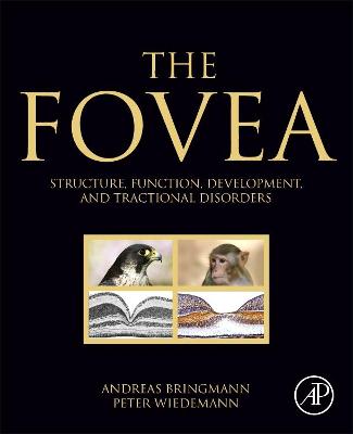 Fovea: Structure, Function, Development, and Tractional Disorders