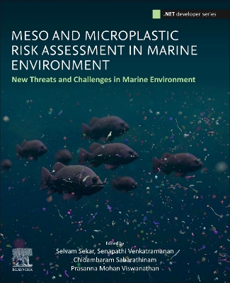 Meso and Microplastic Risk Assessment in Marine Environments: New Threats and Challenges