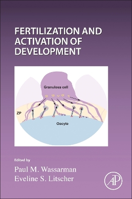 Current Topics in Developmental Biology: Fertilization and Activation of Development, Volume 162
