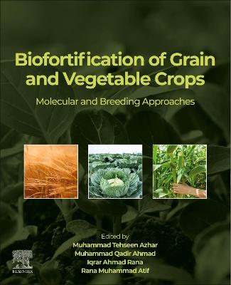 Biofortification of Grain and Vegetable Crops: Molecular and Breeding Approaches
