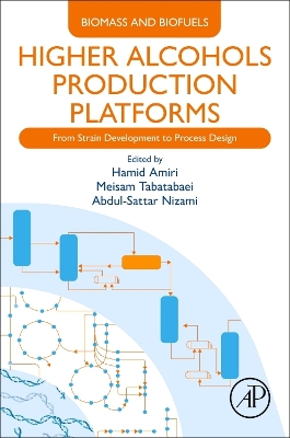 Higher Alcohols Production Platforms: From Strain Development to Process Design