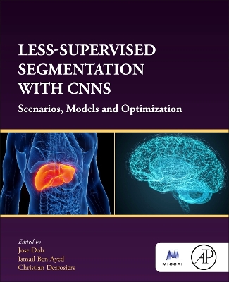 Less-Supervised Segmentation with CNNs: Scenarios, Models and Optimization