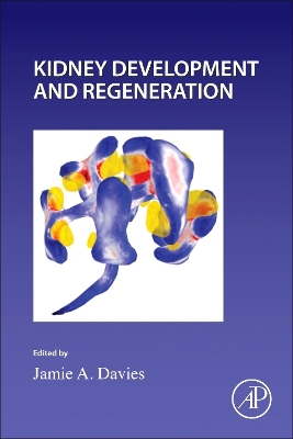 Kidney Development and Regeneration, Volume 163