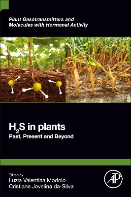 H2S in Plants: Past, Present and Beyond