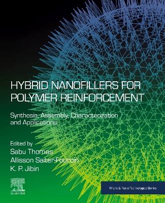 Hybrid Nanofillers for Polymer Reinforcement: Synthesis, Assembly, Characterization, and Applications