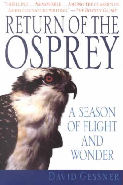 Return of the Osprey: A Season of Flight and Wonder
