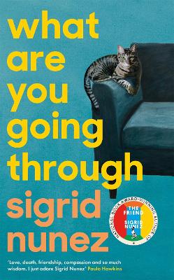 What Are You Going Through: Now a Pedro Almodóvar film - THE ROOM NEXT DOOR